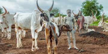 Mundari Tribe: A People Who Treasure Cattle More Than Gold