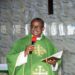 Rev. Fr. Anthony Nnaemeka Udogu