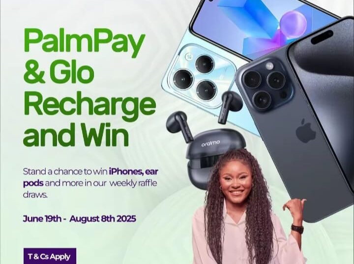 Palmpay DCIM 2 - National Insight News