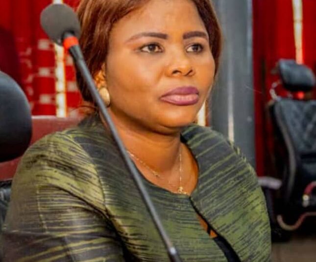 1753813018392 - National Insight News Hon Bisi Oluranti