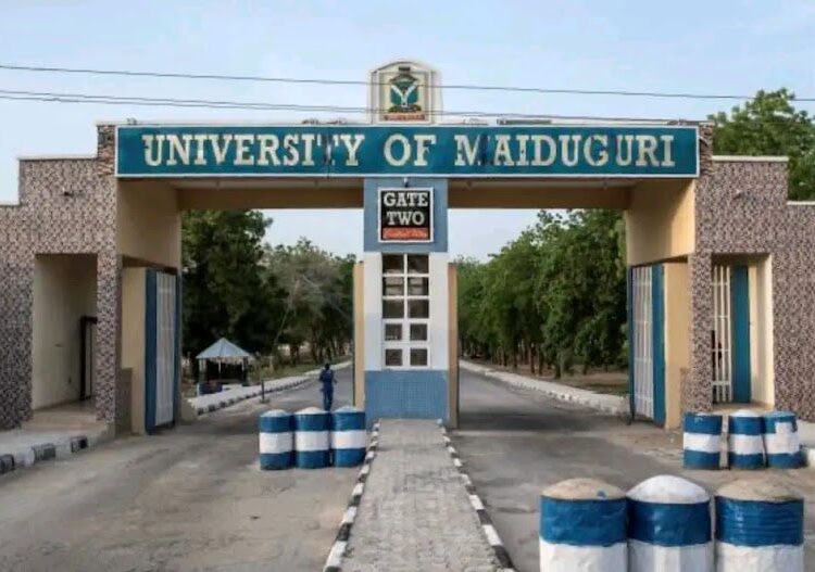 20250717_202418 - National Insight News