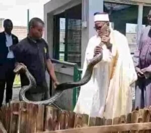 FB_IMG_1752036493780 - National Insight News