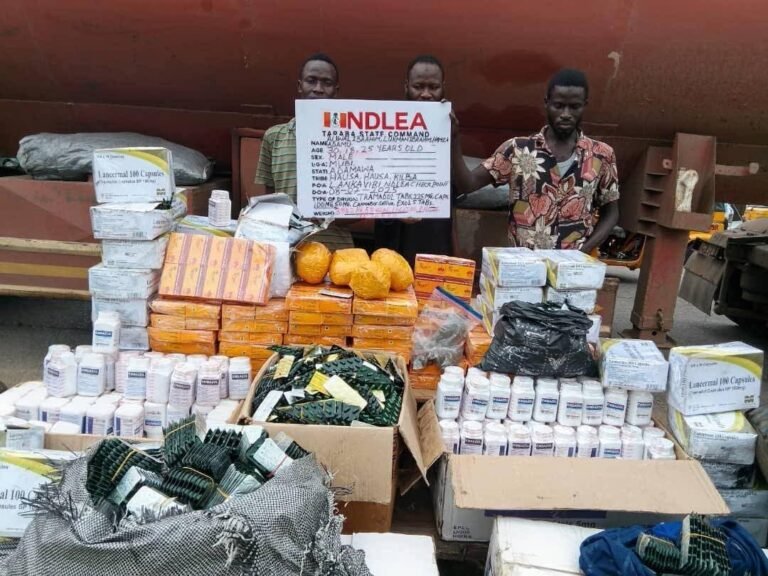 Cocaine in Lipsticks, Loud in Microwaves: NDLEA Busts Drug Syndicates, Arrests Kingpin, Destroys 28,000kg Skunk