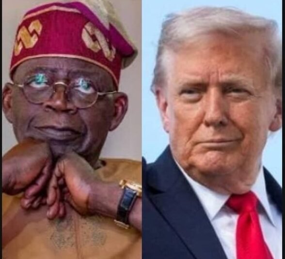 IMG_20251110_102307_832 - National Insight News #image_title