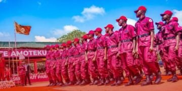 Screenshot_20251125-062114 - National Insight News #image_title