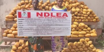 FB_IMG_1767523135141 - National Insight News #image_title