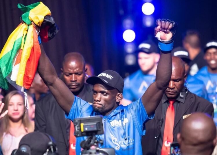 Themba Gorimbo-1 - National Insight News #image_title