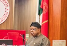 A New Dawn for Nigeria’s Power Sector: Minister Tegbe’s Brilliant Start