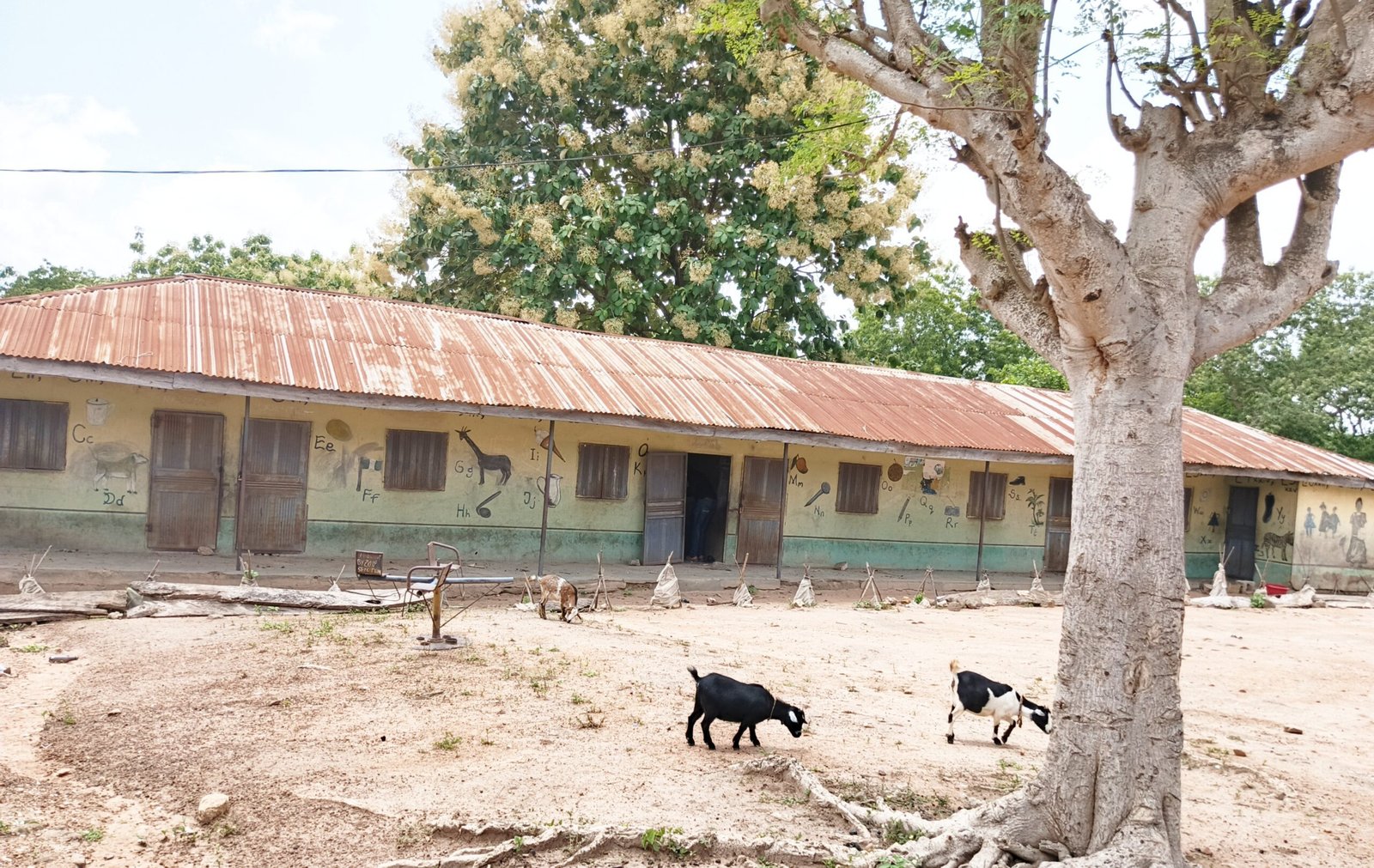 Oriire Abduction: The Bush, the Tears and the Hope of Return