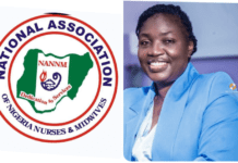 NANNM Oyo Congratulates College of Nursing Provost on NMCN Board Appointment