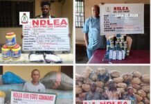 Two Grandfathers Arrested for Selling Drugs to Secondary School Students
