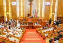 Senate Passes State Police Bill, Empowers Governors to Appoint Commissioners