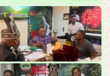 Archaeologists Begin Investigation of Historic Earthworks in Aramoko-Ekiti