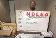 NDLEA Arrests Herbal Tea Businessman Behind Cocaine Shipments to Saudi Arabia