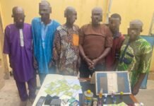 Oyo Police Arrest Six Over Alleged Counterfeit Euro Notes, Recover €8,900