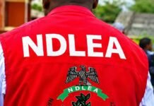 NDLEA Officer Drowns Chasing Drug Suspect Into River Ethiope