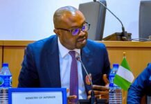 No Extra Charges for Special Passport Intervention in UK – Interior Minister