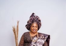 Adeboyin Adeola Assures Makinde of Commitment, Service as SSA on Diaspora