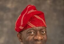 Beyond LG Autonomy: Adekanmbi’s Three-Pillar Vision, By Isaiah Okon