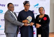 From Provision Store to Retail Giant: Ace Mall Founder Afonja Wins Brand Nigeria Award